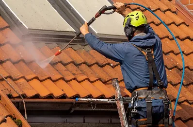 Démoussage et hydrofuge de toiture aux Pinthières